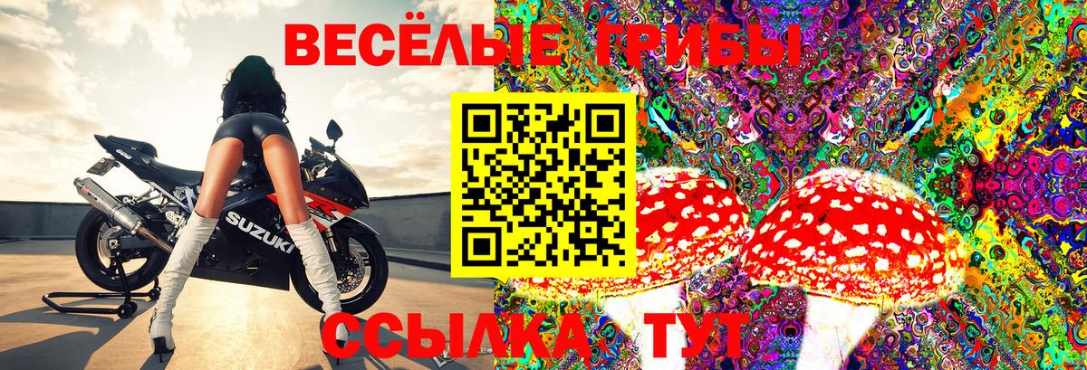 Псилоцибиновые грибы прущие грибы Каменск-Шахтинский